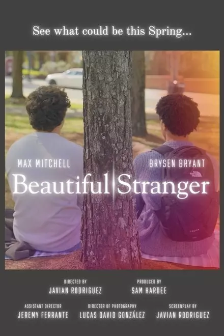 Beautiful Stranger